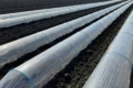 Composite arc for greenhouse