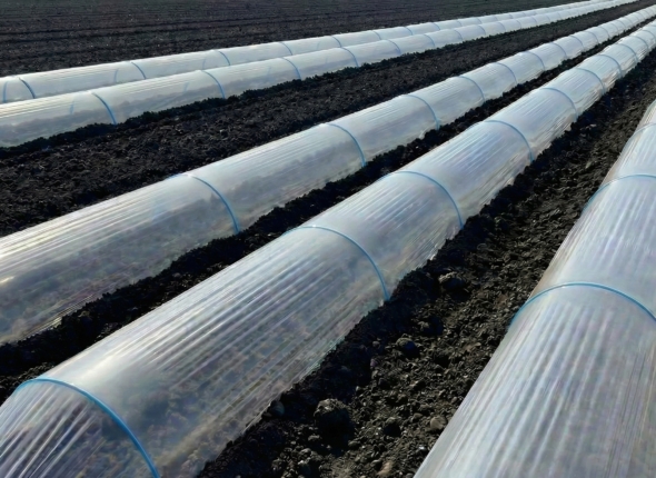 Composite arc for greenhouse
